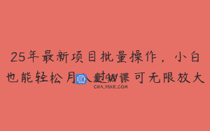 25年最新项目批量操作，小白也能轻松月入过W，可无限放大