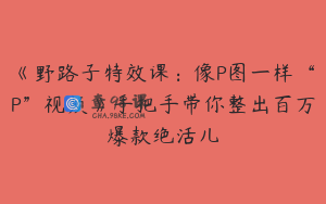 《野路子特效课：像P图一样“P”视频》手把手带你整出百万爆款绝活儿