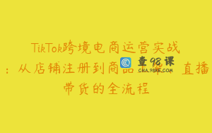 TikTok跨境电商运营实战：从店铺注册到商品上架、直播带货的全流程