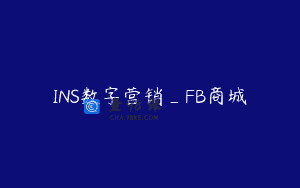 INS数字营销_FB商城