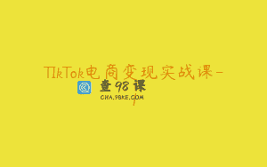 TIkTok电商变现实战课-1