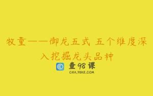 牧童——御龙五式 五个维度深入挖掘龙头品种