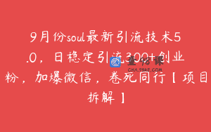9月份soul最新引流技术5.0，日稳定引流300+创业粉，加爆微信，卷死同行【项目拆解】