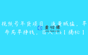 视频号年货项目，流量贼猛，早布局早挣钱，日入上k【揭秘】