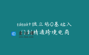 tiktok+独立站0基础入门到精通跨境电商