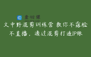 文中野混剪训练营 教你不露脸不直播，通过混剪打造IP账