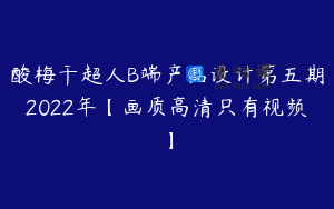 酸梅干超人B端产品设计第五期2022年【画质高清只有视频】
