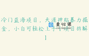 冷门蓝海项目，天涯神贴暴力掘金，小白可轻松上手【项目拆解】