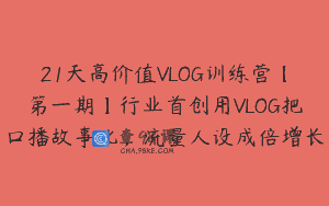 21天高价值VLOG训练营【第一期】行业首创用VLOG把口播故事化，流量人设成倍增长
