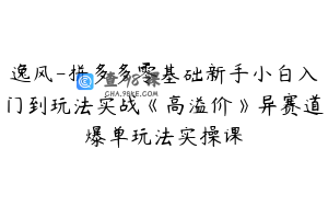 逸风-拼多多零基础新手小白入门到玩法实战《高溢价》异赛道爆单玩法实操课