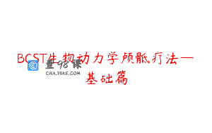 BCST生物动力学颅骶疗法—基础篇