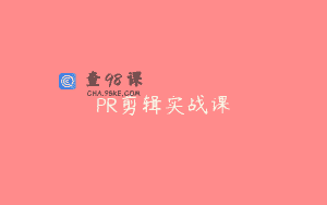 PR剪辑实战课