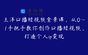 王洋口播短视频全景课，从0~1手把手教你创作口播短视频，打造个人ip变现