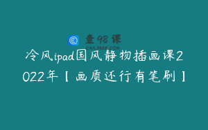 冷风ipad国风静物插画课2022年【画质还行有笔刷】