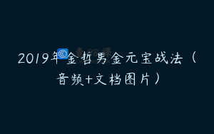 2019年金哲男金元宝战法（音频+文档图片）