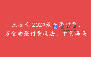 王校长・2024最牛强付费，万金油强付费玩法，干货满满
