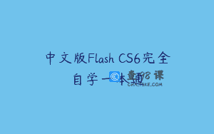 中文版Flash CS6完全自学一本通