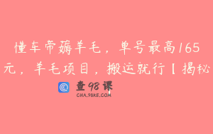 懂车帝薅羊毛，单号最高165元，羊毛项目，搬运就行【揭秘】