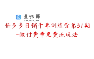 拼多多日销千单训练营第31期-微付费带免费流玩法