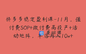 拼多多稳定盈利课-11月，强付费SOP+微付费高投产+活动矩阵，单店月入10w+