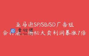 亚马逊SP/SB/SD广告组合打法，揭秘大卖利润暴涨7倍