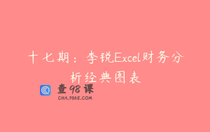 十七期：李锐Excel财务分析经典图表