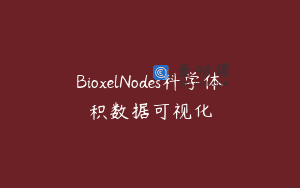 BioxelNodes科学体积数据可视化