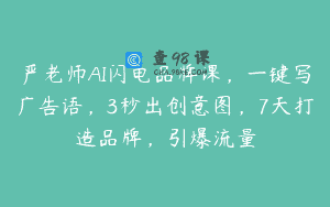 严老师AI闪电品牌课，一键写广告语，3秒出创意图，7天打造品牌，引爆流量
