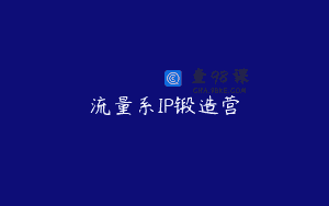 流量系IP锻造营