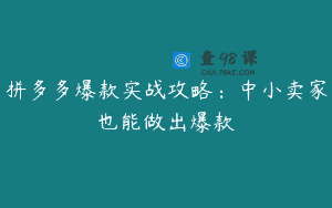 拼多多爆款实战攻略：中小卖家也能做出爆款