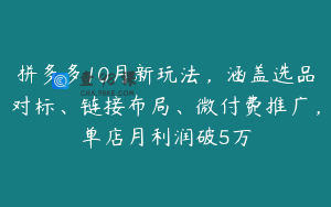 拼多多10月新玩法，涵盖选品对标、链接布局、微付费推广，单店月利润破5万