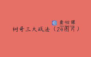 树哥三大战法（24图片）