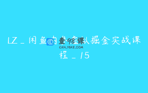 LZ_闲鱼内参虚拟掘金实战课程_15