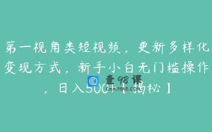 第一视角类短视频，更新多样化变现方式，新手小白无门槛操作，日入500+【揭秘】