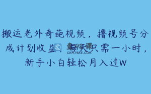 搬运老外奇葩视频，撸视频号分成计划收益，每天只需一小时，新手小白轻松月入过W