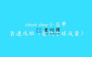 tiktok shop小店带货速成班（备战全球流量）