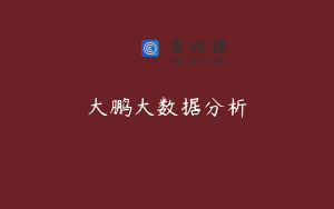 大鹏大数据分析