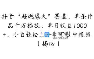 抖音“超燃爆火”赛道，单条作品千万播放，单日收益1000+，小白轻松上手，可过中视频【揭秘】