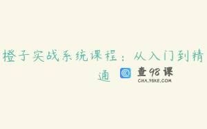 橙子实战系统课程：从入门到精通