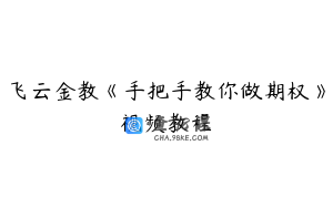 飞云金教《手把手教你做期权》视频教程