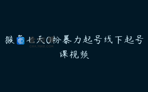 猴帝七天0粉暴力起号线下起号课视频
