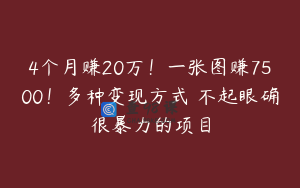4个月赚20万！一张图赚7500！多种变现方式 不起眼确很暴力的项目