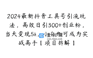 2024最新抖音工具号引流玩法，高效日引300+创业粉，当天变现5k，小白也可成为实战高手【项目拆解】