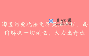 淘宝付费玩法无界实操课程，高价解决一切烦恼，大力出奇迹