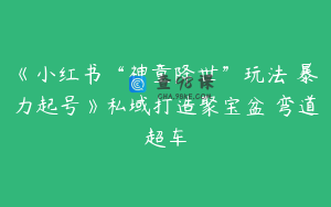 《小红书“神童降世”玩法 暴力起号》私域打造聚宝盆 弯道超车