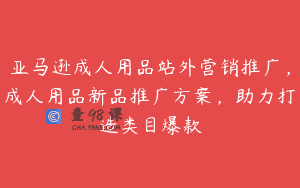 亚马逊成人用品站外营销推广，成人用品新品推广方案，助力打造类目爆款