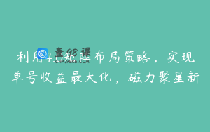 利用4.0矩阵布局策略，实现单号收益最大化，磁力聚星新