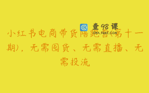 小红书电商带货陪跑营(第十一期)，无需囤货、无需直播、无需投流