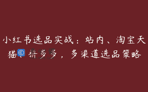 小红书选品实战：站内、淘宝天猫、拼多多，多渠道选品策略