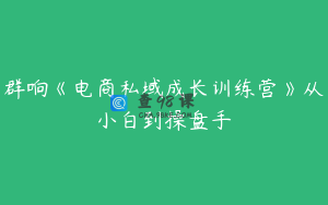 群响《电商私域成长训练营》从小白到操盘手